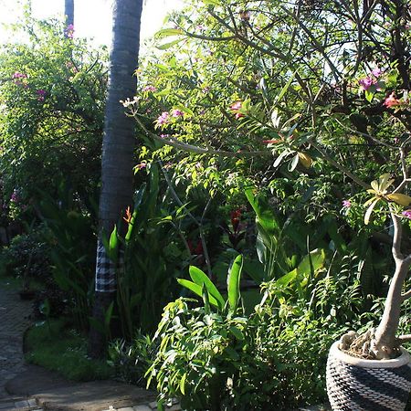 Cleopatra Beach Bungalows Lovina (Bali) Exterior photo