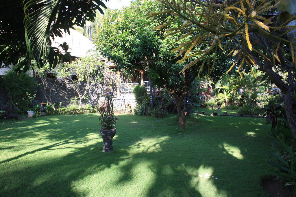 Cleopatra Beach Bungalows Lovina (Bali) Room photo